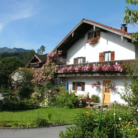 Schwalbennest Apartman *