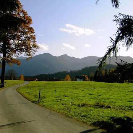 Schwalbennest Apartman *